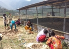 students-working-to-make-chicken-farm