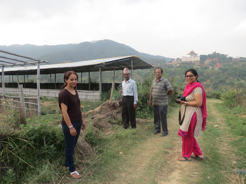 chairperson-of-nepal-chapter-of-hattiban-observing-the-chicken-shed
