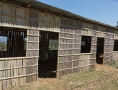 asc-chickenfarm_2