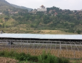 poultry-section-just-beneath-bottle-house