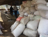 rice-cover-and-saw-dust