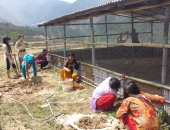 students-working-to-make-chicken-farm