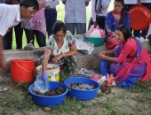 compost_5