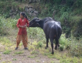 Cowgirl im Kathmandutal