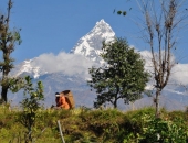 machapuchare
