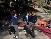 picnic_5
