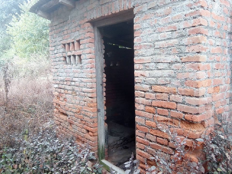 pic.toilet1